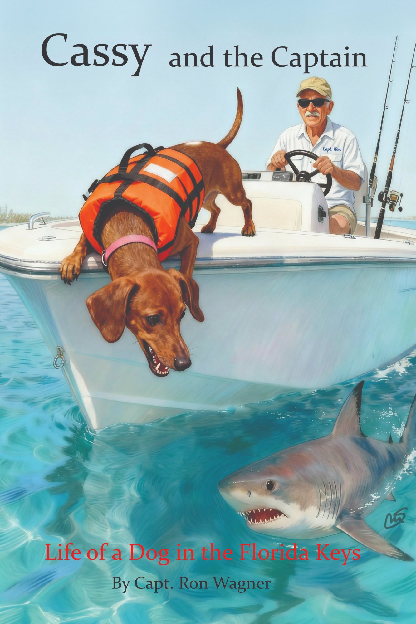 Cassy and the Captain book cover